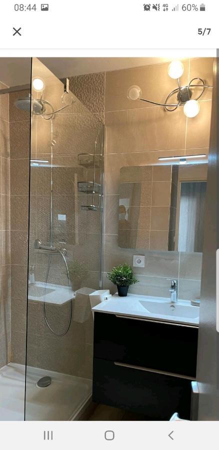 וילאורבן Appartement Laurent Bonnevay מראה חיצוני תמונה