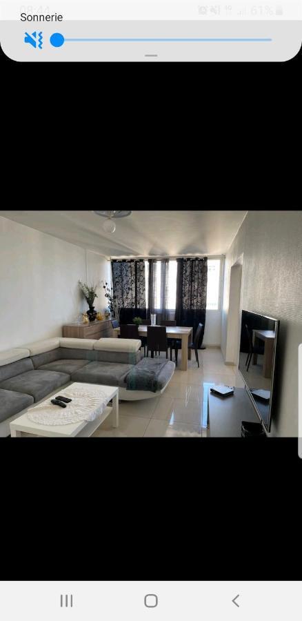 וילאורבן Appartement Laurent Bonnevay מראה חיצוני תמונה